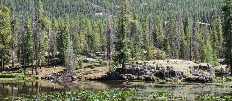 Never Stop Exploring