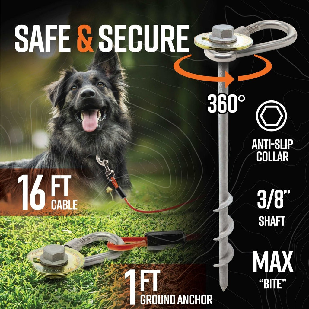 Grounded Paws Dog Tie Down Kit - Trail and Timber Co
