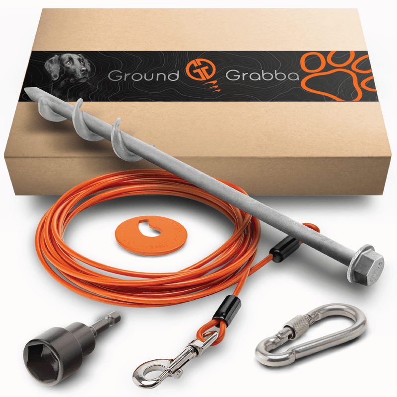 Load image into Gallery viewer, Grounded Paws Dog Tie Down Kit - Trail and Timber Co
