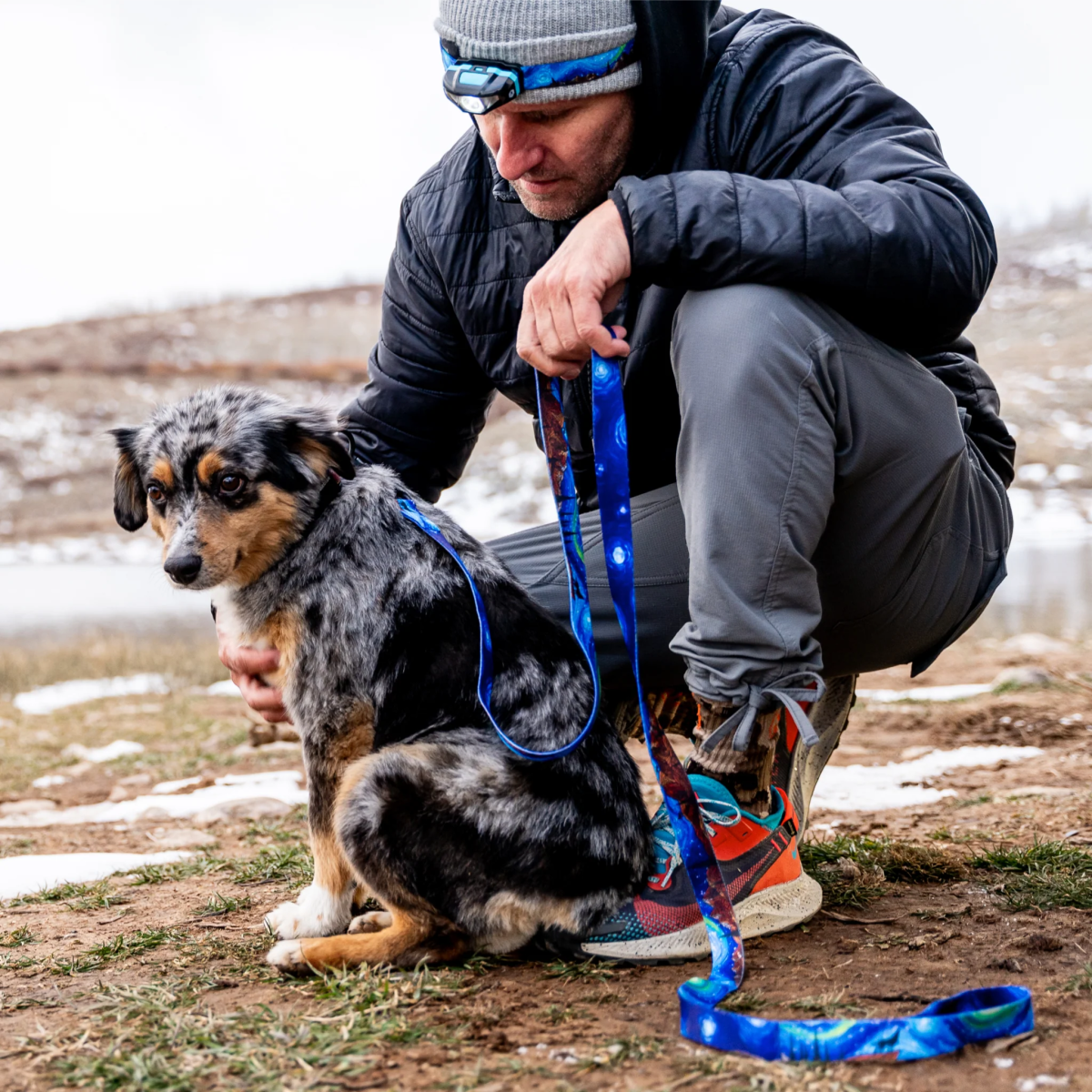 StarryWolf Dog Walking Kit - Trail and Timber Co