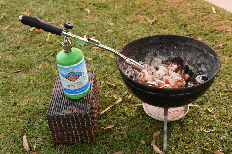 Load image into Gallery viewer, Flame King Propane Torch with Gas Ignitor

